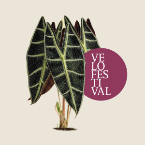 VELOFESTIVAL 2025 - Scarica il programma Le Falìe