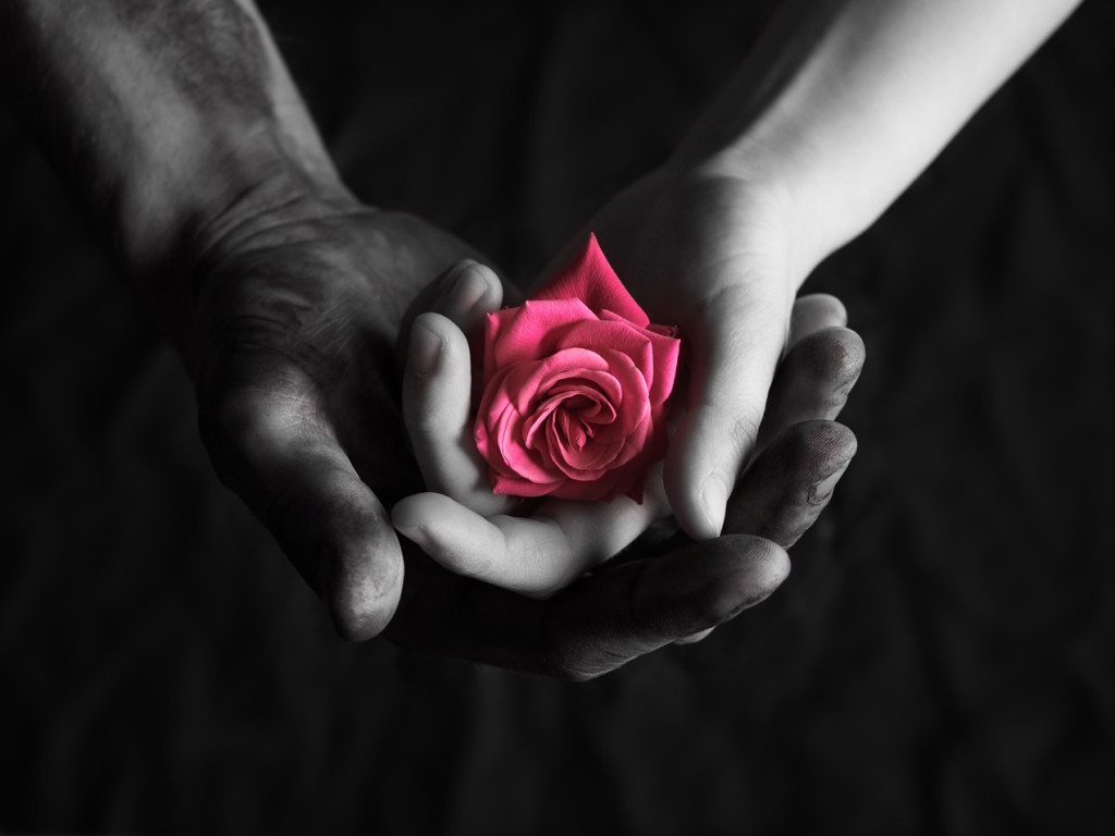 Belgìca d'amore Le Falìe
